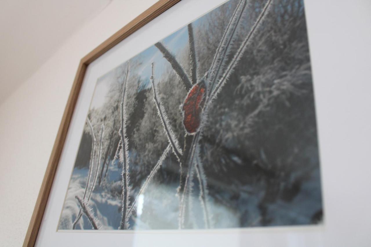 Apartment Zirmweber-Haus Sankt Johann im Pongau Esterno foto
